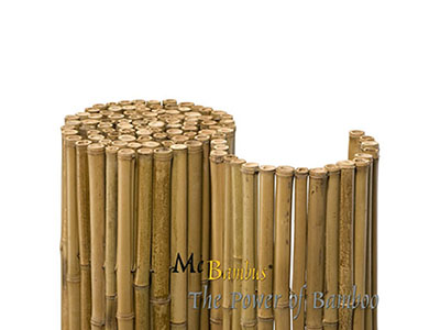 Bambus-Gummersbach Bambuszune